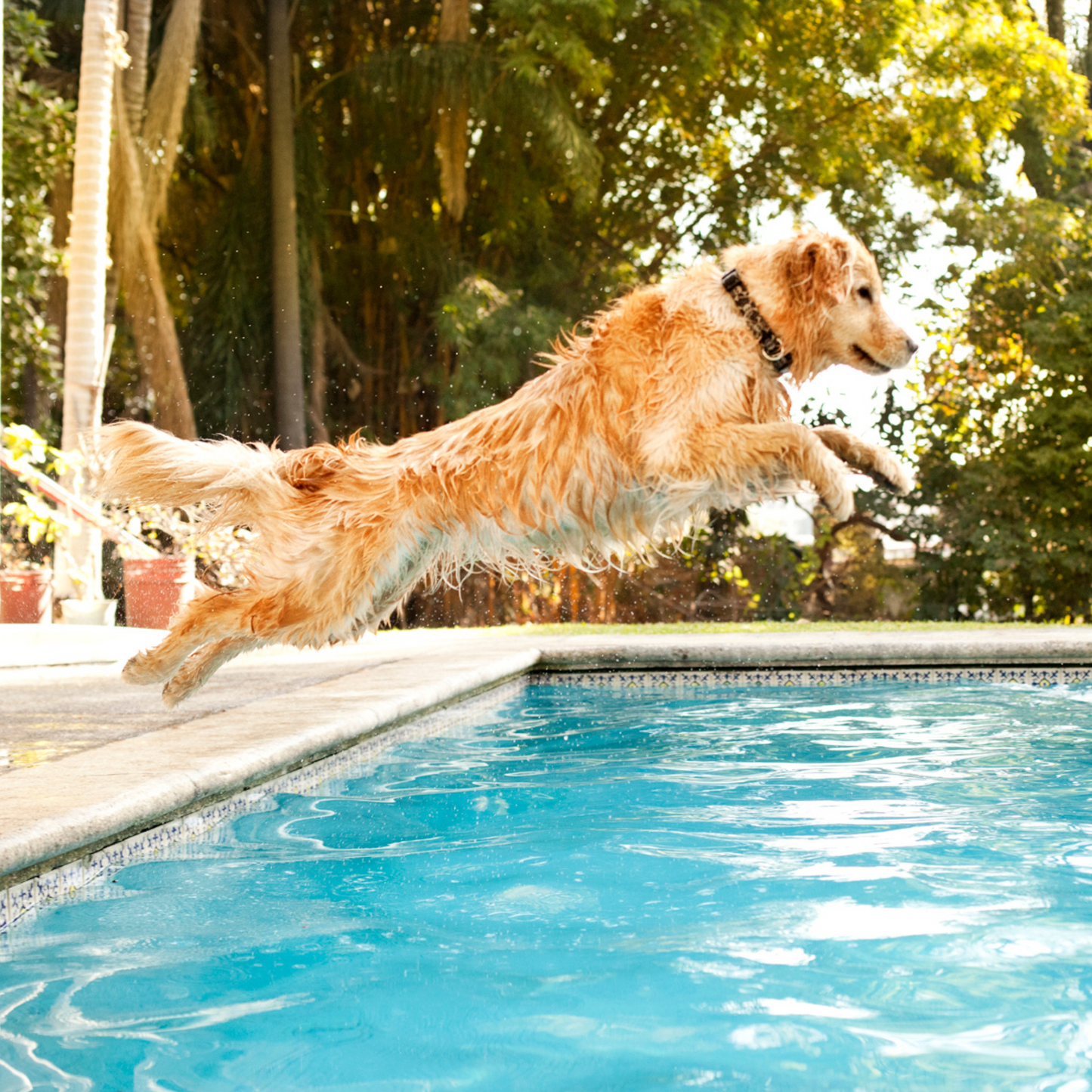 Clear4Weeks™ Monthly Pool Maintenance Kit