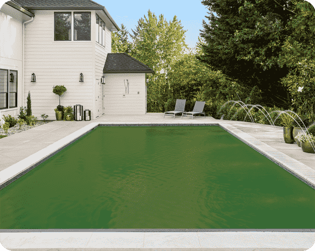 Green To Clear Transformation